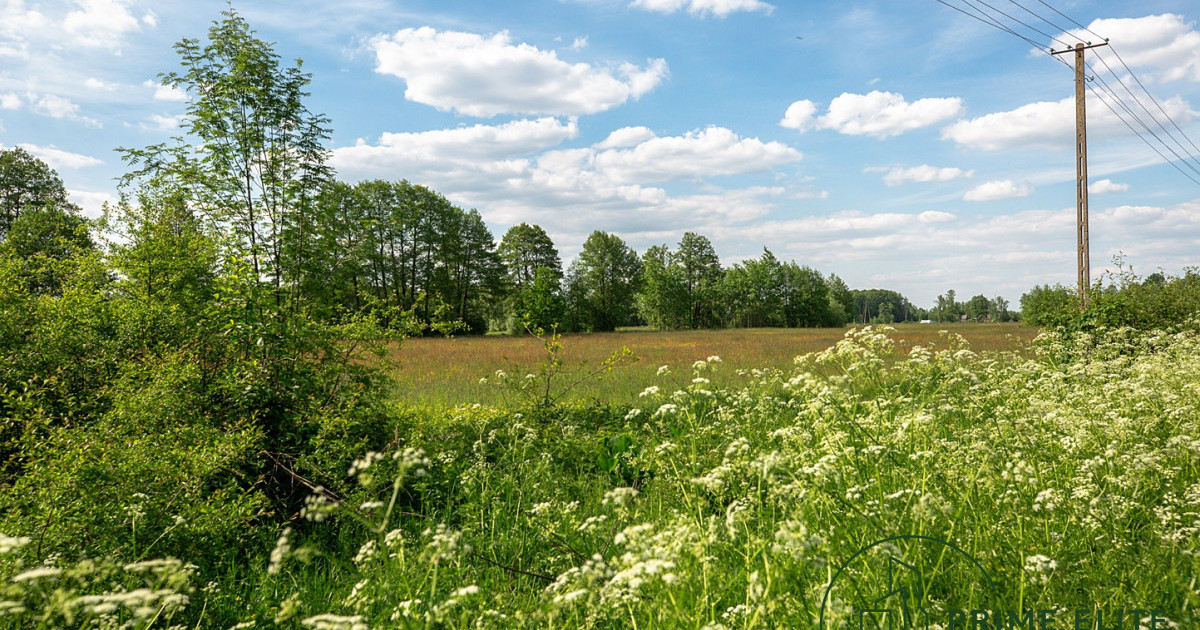 Działka inwestycyjna 29 900 ha Wołomin