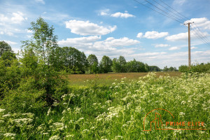 Działka na sprzedaż 29900m2 wołomiński Wołomin - zdjęcie 1