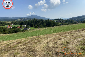 Działka na sprzedaż 2739m2 nowotarski Rabka-Zdrój - zdjęcie 1