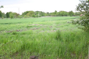 Działka na sprzedaż opolskie opolski Dąbrowa Dębowa - zdjęcie 1