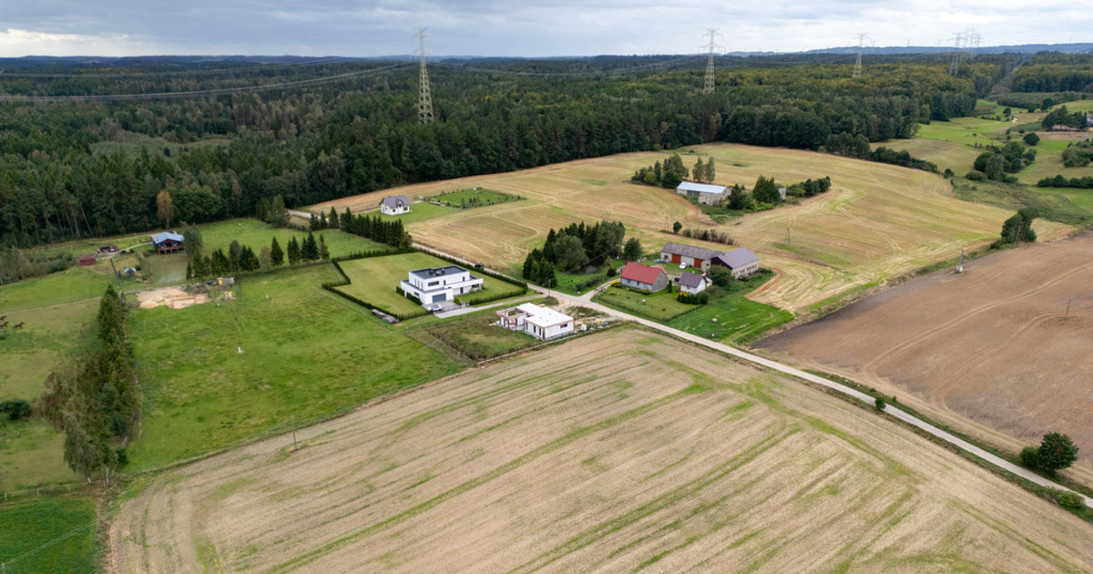 Działka z MPZP blisko lasu