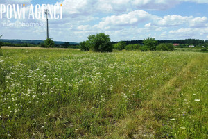 Działka na sprzedaż kraśnicki Annopol Opoczka Mała - zdjęcie 1