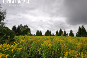 Działka na sprzedaż 1399m2 piaseczyński Lesznowola Kolonia Lesznowola Fabryczna - zdjęcie 1