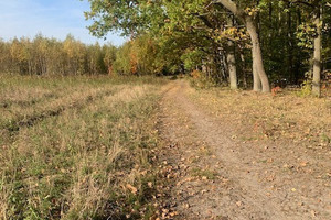 Działka na sprzedaż 10016m2 piaseczyński Piaseczno Pęchery Bolesława Chrobrego - zdjęcie 3