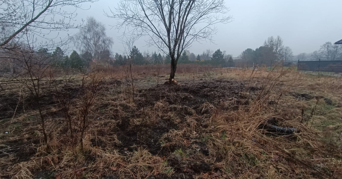 PIĘKNA DZIAŁKA BUDOWLANA 1000M KW ! PRECZÓW! POGORIA IV