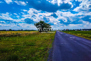 Działka na sprzedaż 37700m2 grodziski Grodzisk Mazowiecki Chlebnia - zdjęcie 1