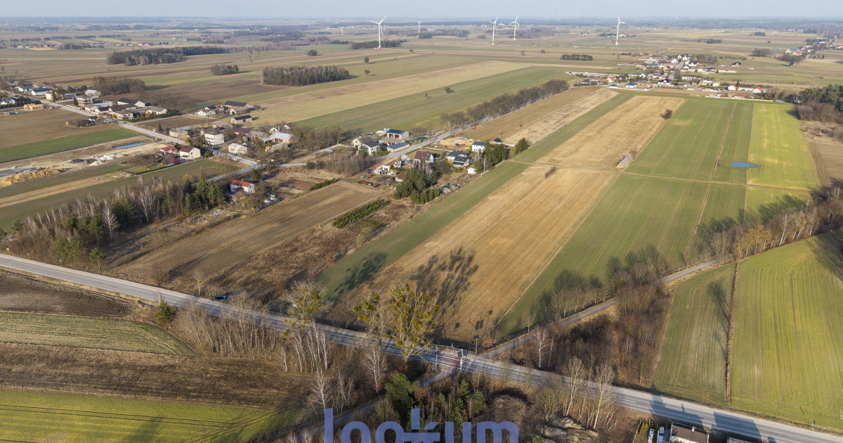Stefanów Koluszki | 1,38 ha | WZ | Las | Media