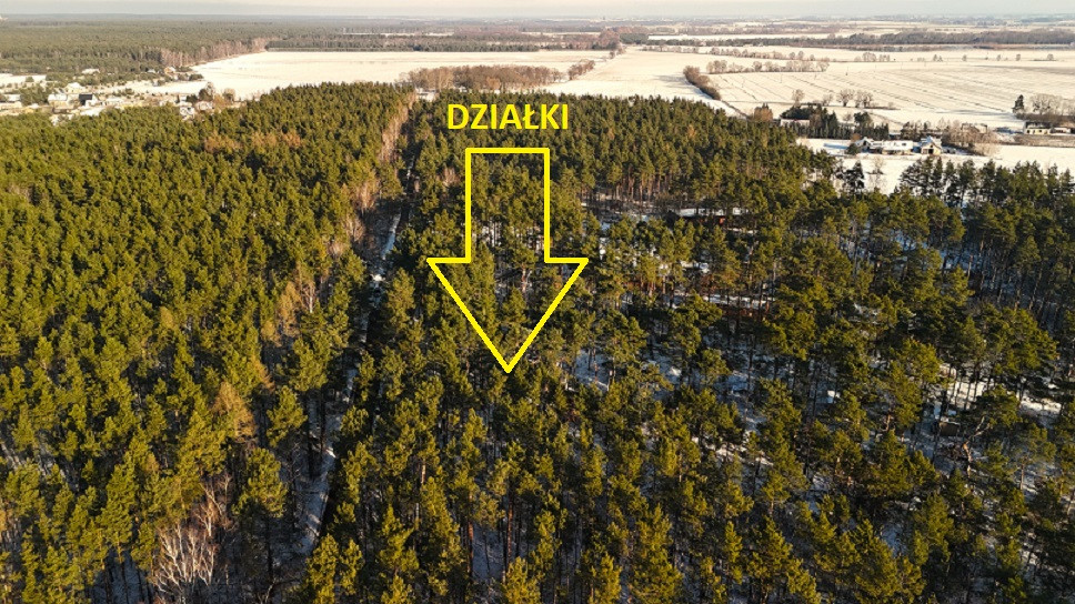 działka budowlana w lesie/jezioro