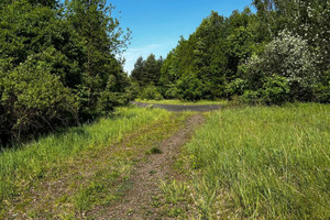 Działka na sprzedaż 877m2 myszkowski Poraj 3 Maja - zdjęcie 2