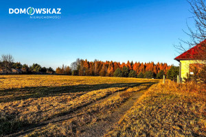 Działka na sprzedaż 16000m2 myszkowski Poraj Choroń Częstochowska - zdjęcie 2