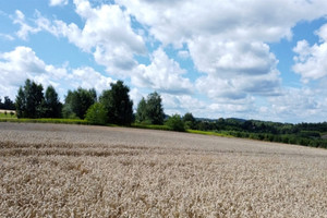 Działka na sprzedaż 2400m2 brzeski Dębno Sufczyn Szkolna - zdjęcie 3