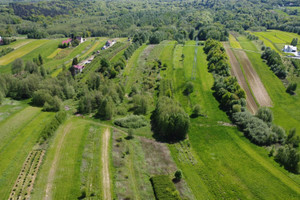 Działka na sprzedaż 7000m2 brzeski Dębno Łysa Góra - zdjęcie 1