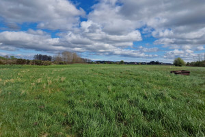 Działka na sprzedaż 7500m2 wejherowski Reda - zdjęcie 1