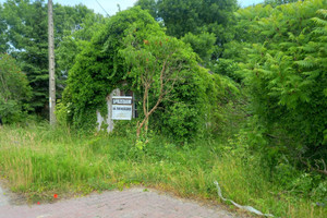 Dom na sprzedaż 42m2 skierniewicki Bolimów Bolimowska Wieś - zdjęcie 2