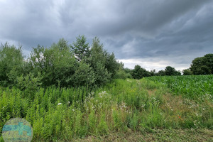 Działka na sprzedaż 4932m2 płoński Płońsk Ćwiklin - zdjęcie 1