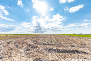 Działka na sprzedaż 3701m2 lubelski Wojciechów - zdjęcie 1