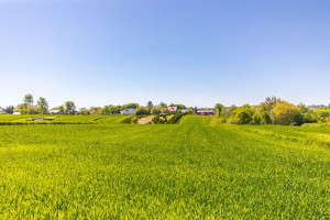 Działka na sprzedaż 860m2 lubelski Konopnica - zdjęcie 1