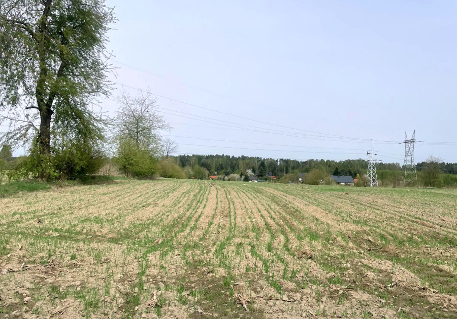 Działka na sprzedaż - Rosanów