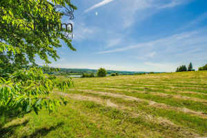 Działka na sprzedaż 2684m2 jasielski Skołyszyn Siedliska Sławęcińskie - zdjęcie 1