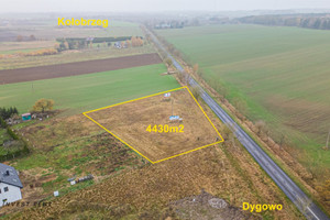 Działka na sprzedaż 4430m2 kołobrzeski Dygowo Czernin - zdjęcie 1