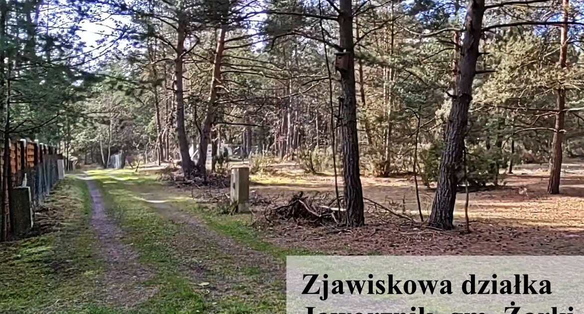 Urokliwa działka rekreacyjna/leśna w Jaworzniku