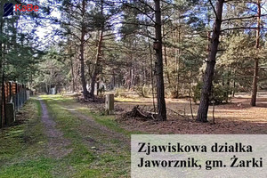 Działka na sprzedaż 6970m2 myszkowski Żarki Jaworznik - zdjęcie 1