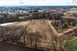 Działka na sprzedaż 54000m2 tarnowski Wierzchosławice - zdjęcie 1