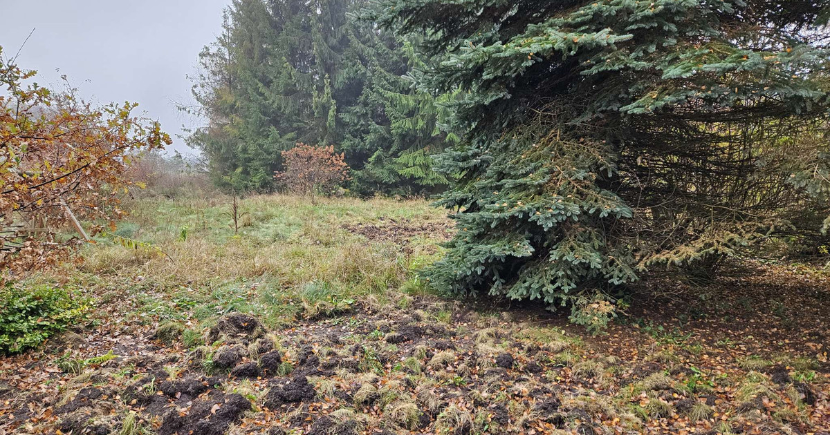 Działka niezabudowana - Rąbień