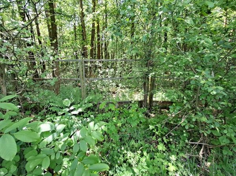 Działka niezabudowana - Kwiatkowice-Las, gm. Wodzierady - udział 1/2