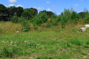 Działka na sprzedaż 1050m2 kartuski Żukowo Łapino Kartuskie Narcyzowa - zdjęcie 3