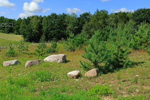 Działka na sprzedaż 1050m2 kartuski Żukowo Łapino Kartuskie Narcyzowa - zdjęcie 1