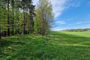 Działka na sprzedaż 1000m2 kartuski Somonino Kaplica - zdjęcie 1