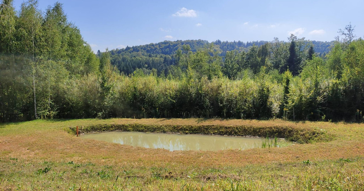 Kobylec, gmina Łapanów - działka budowlana z własnym stawem