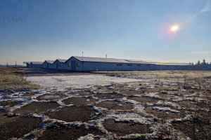 Komercyjne na sprzedaż 8500m2 poznański Pobiedziska Pomarzanowice Pobiedziska Pomarzanowice - zdjęcie 1