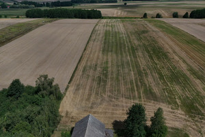 Działka na sprzedaż 29000m2 oleski Rudniki Cieciułów - zdjęcie 1