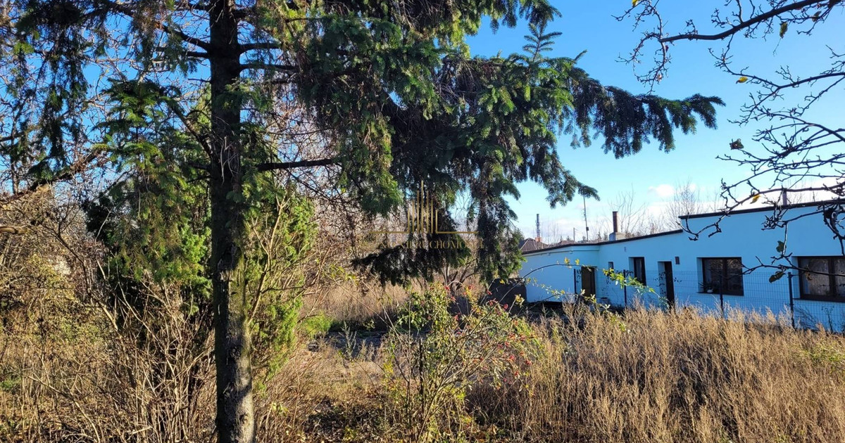 DZIAŁKA BATOREGO, BUDOWLANO - USŁUGOWA, 706 M2