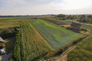 Działka na sprzedaż 4380m2 Piekary Śląskie Dąbrówka Wielka Rycerska - zdjęcie 1