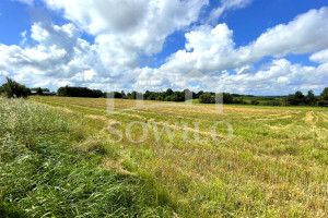 Działka na sprzedaż 4300m2 wejherowski Gniewino - zdjęcie 1