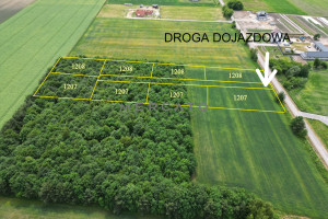 Działka na sprzedaż 10570m2 warszawski zachodni Kampinos Strzyżew - zdjęcie 1