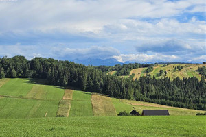 Działka na sprzedaż 8075m2 nowotarski Dursztyn - zdjęcie 1