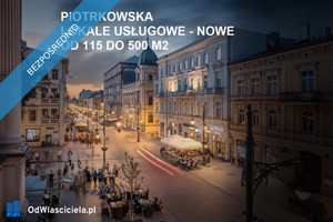 Komercyjne na sprzedaż 115m2 Łódź Śródmieście Piotrkowska - zdjęcie 1