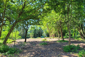 Działka na sprzedaż pruszkowski Brwinów Terenia ul. Graniczna - zdjęcie 1