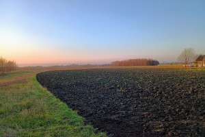 Działka na sprzedaż 1270m2 łańcucki Białobrzegi Dębina - zdjęcie 1