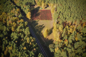 Działka na sprzedaż 18159m2 pruszkowski Nadarzyn ul. Błońska - zdjęcie 1