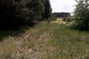 Działka na sprzedaż 1000m2 pułtuski Zatory Kruczy Borek - zdjęcie 1