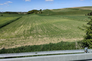 Działka na sprzedaż 11100m2 olkuski Trzyciąż Zadroże - zdjęcie 1