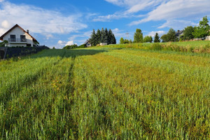 Działka na sprzedaż 800m2 dębicki Dębica Miejscowość Podgrodzie - zdjęcie 2