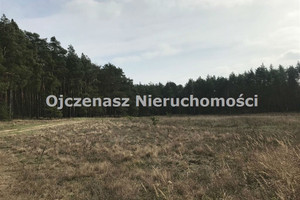 Działka na sprzedaż 10251m2 bydgoski Dąbrowa Chełmińska Czarże - zdjęcie 1