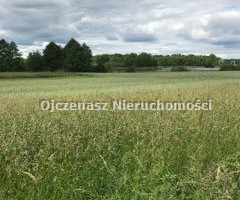 Działka na sprzedaż 5500m2 lipnowski Wielgie - zdjęcie 1