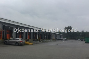 Komercyjne do wynajęcia 2200m2 Bydgoszcz Kapuściska - zdjęcie 1